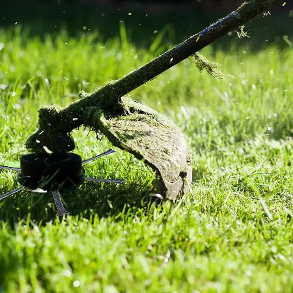 1 pz 6 pollici universale test - Gardening Tools To Remove Grass recensione e prezzo