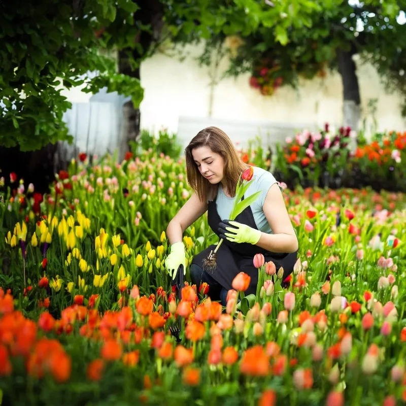 Rastrello da Giardino 2 in 1 M - Gardening Tools To Remove Grass recensione e prezzo