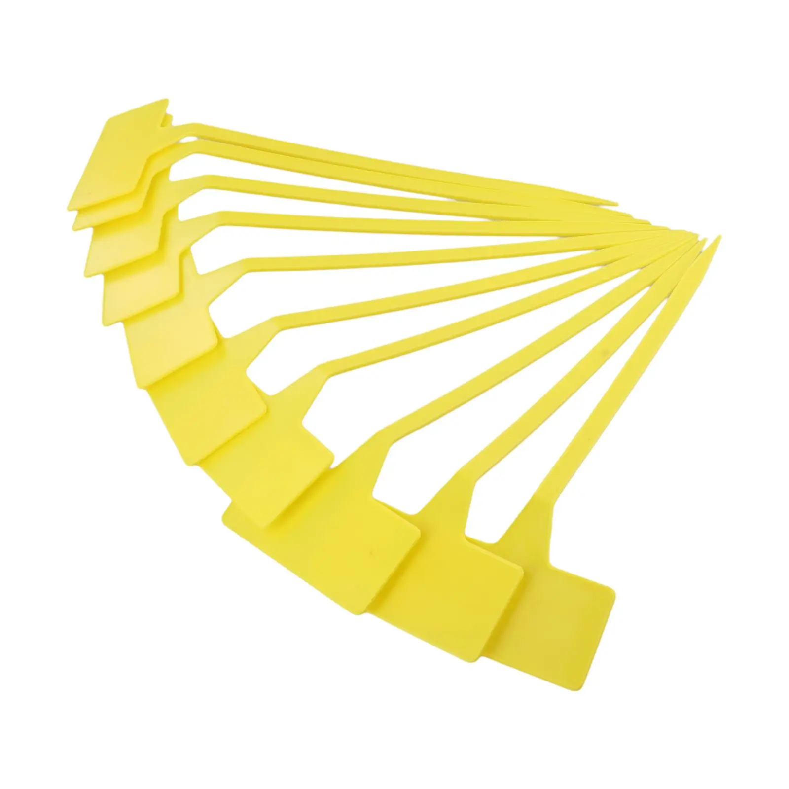 Etichette per piante domestich - Plant Label Tags recensione e prezzo