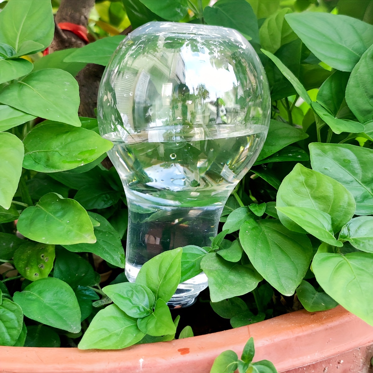 Strumento di irrigazione autom - Gardening Tools Water recensione e prezzo