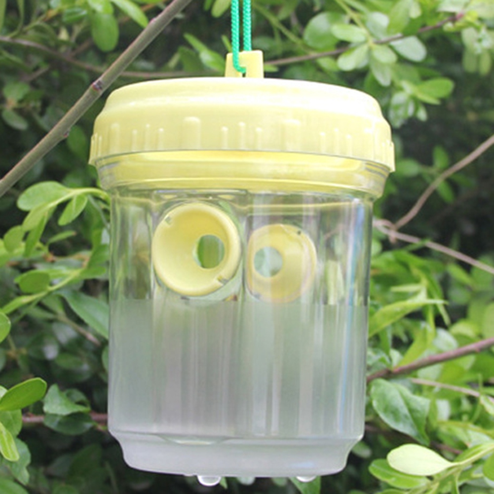 Trappola per Calabroni da Appe - Gardening Tools In Store recensione e prezzo
