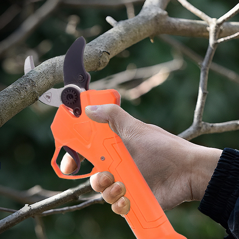 Forbici da Potatura Elettriche - Gardening Tool recensione e prezzo