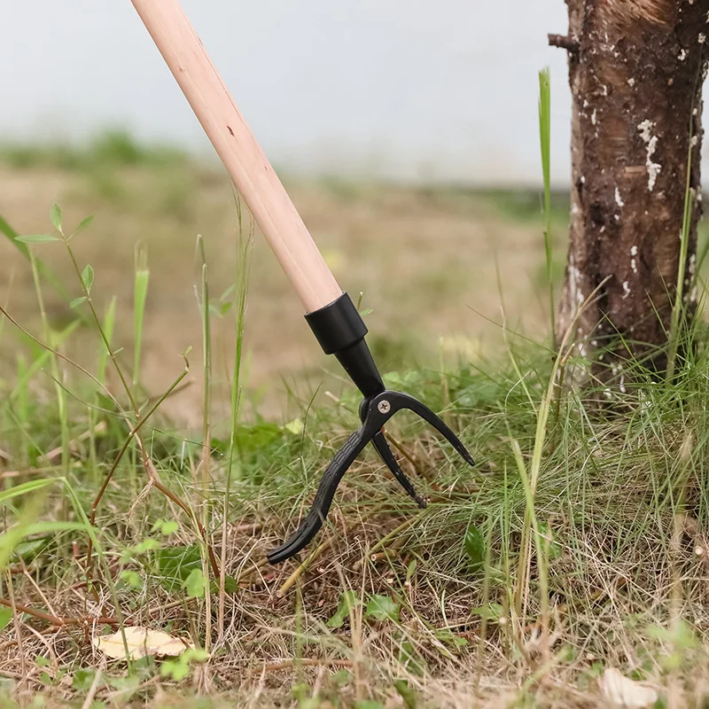 Attrezzo a griffa per la rimoz - Gardening Tools To Remove Grass recensione e prezzo