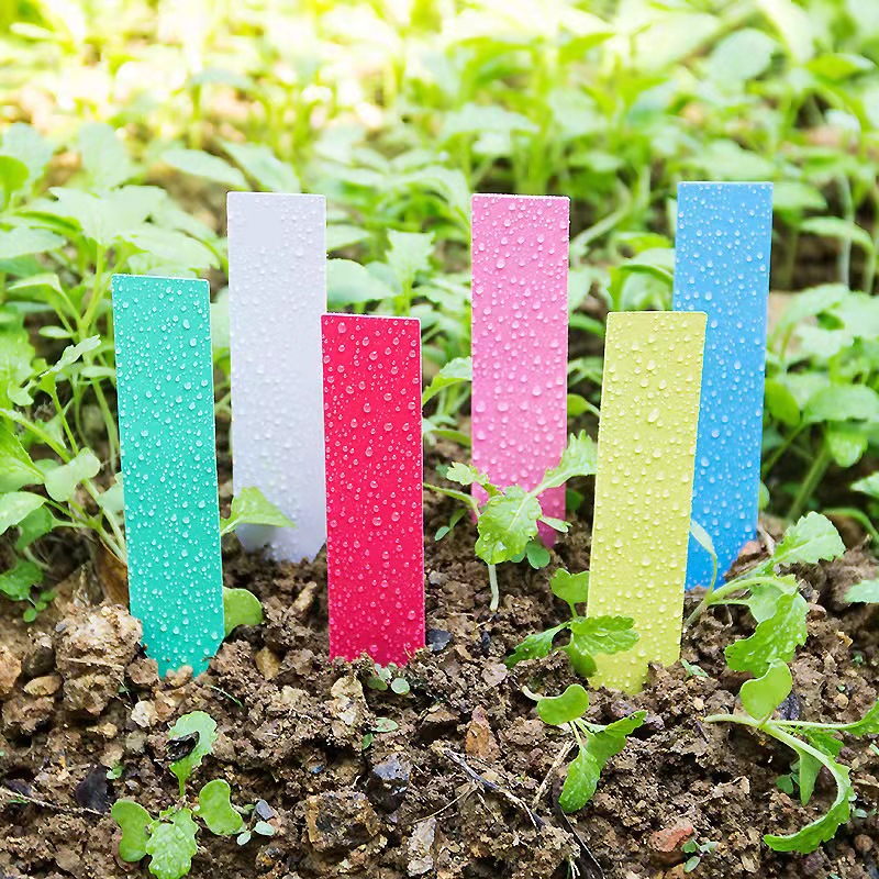 100 pezzi Etichette per piante - Plant Label Tags recensione e prezzo