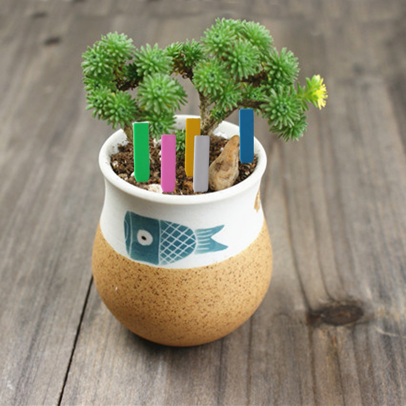 100 pezzi Etichette per piante - Plant Label Tags recensione e prezzo