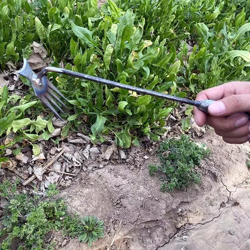 Diserbatore Manuale da Giardin - Gardening Tools To Remove Grass recensione e prezzo