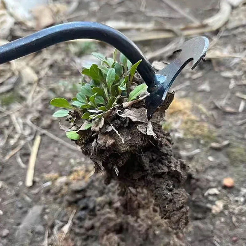 Diserbatore Manuale da Giardin - Gardening Tools To Remove Grass recensione e prezzo