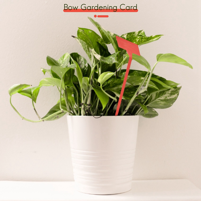 ABYP Attrezzi per piantare gia - Plant Label Tags recensione e prezzo
