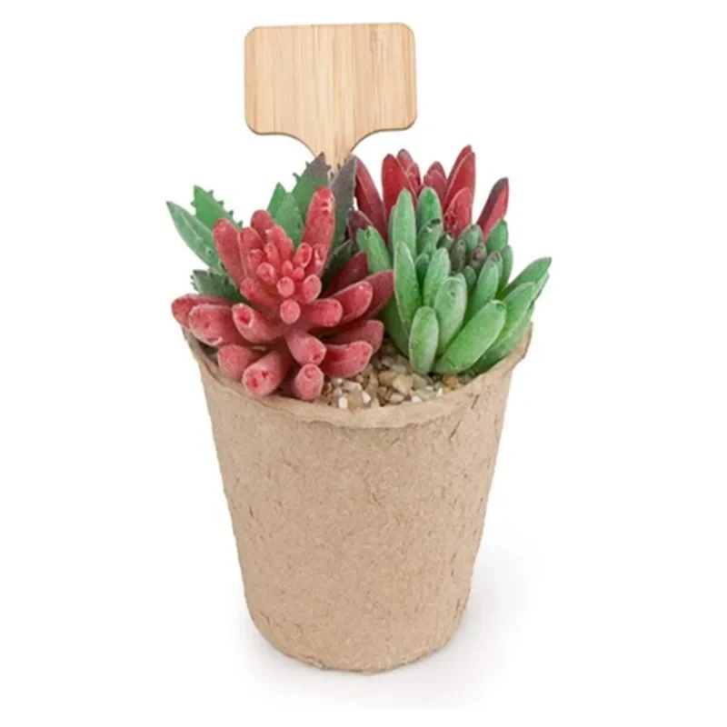 Etichette per piante in legno  - Plant Label Tags recensione e prezzo