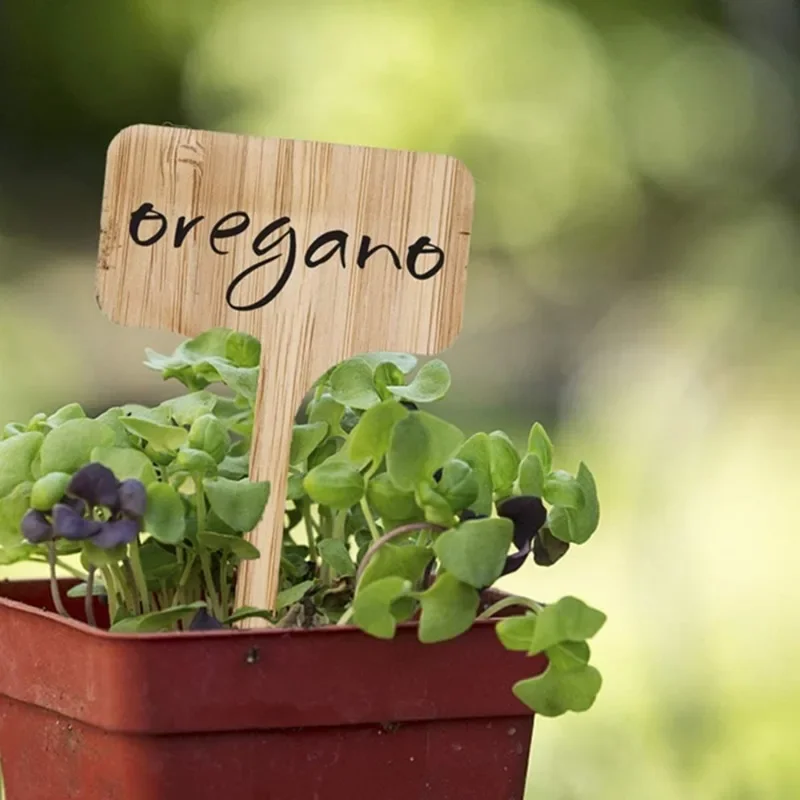 Etichette per piante in legno  - Plant Label Tags recensione e prezzo