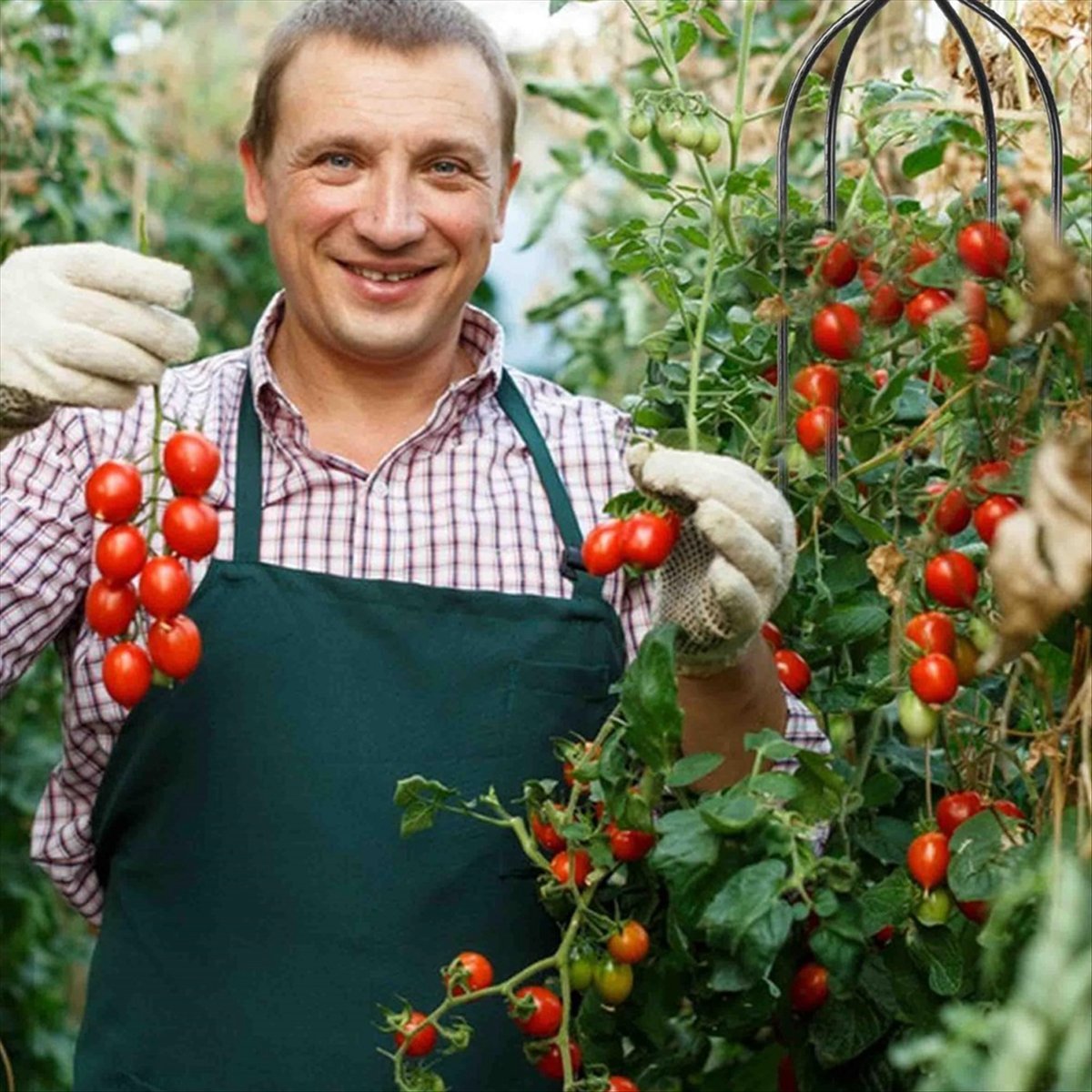 AT16 Obelisco per Piante Rampi - Gardening Tools B&M recensione e prezzo