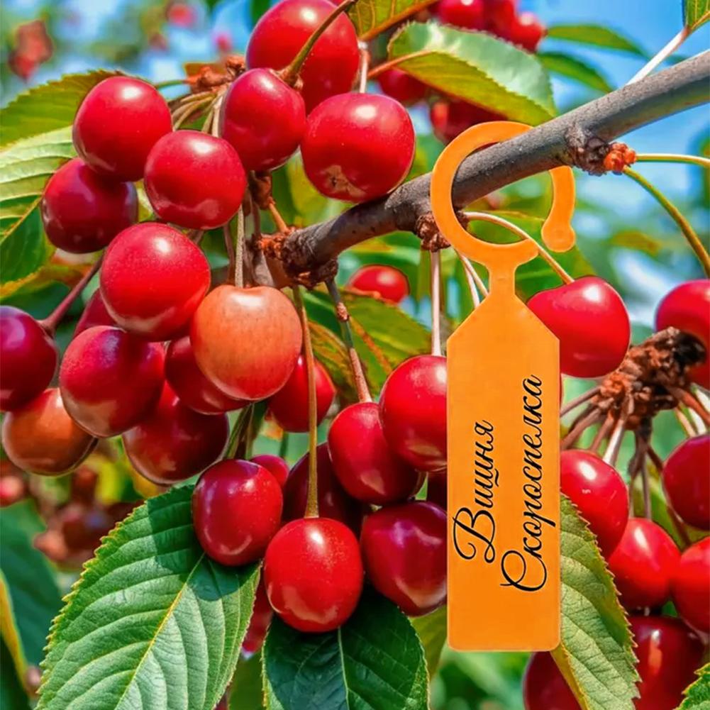 Etichette ad anello per piante - Plant Label Tags recensione e prezzo