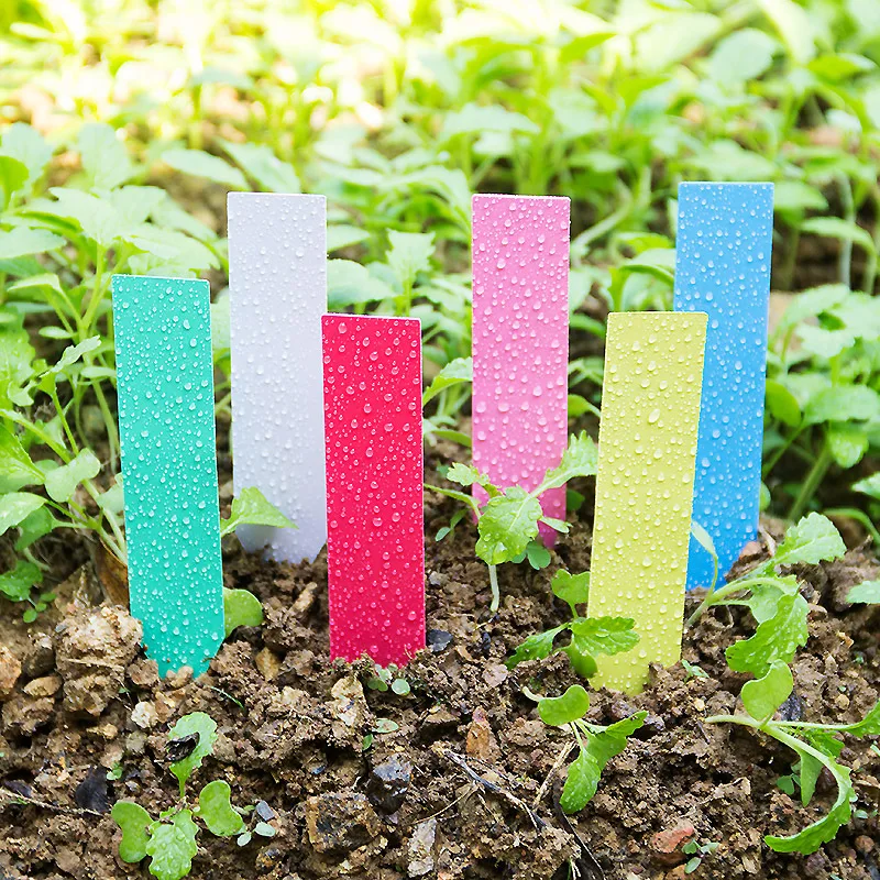 100pcs etichette per piante sp - Plant Label Tags recensione e prezzo