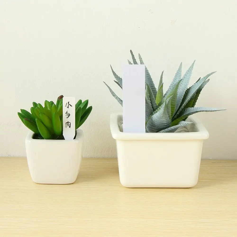 100 pezzi riutilizzabili class - Plant Label Tags recensione e prezzo