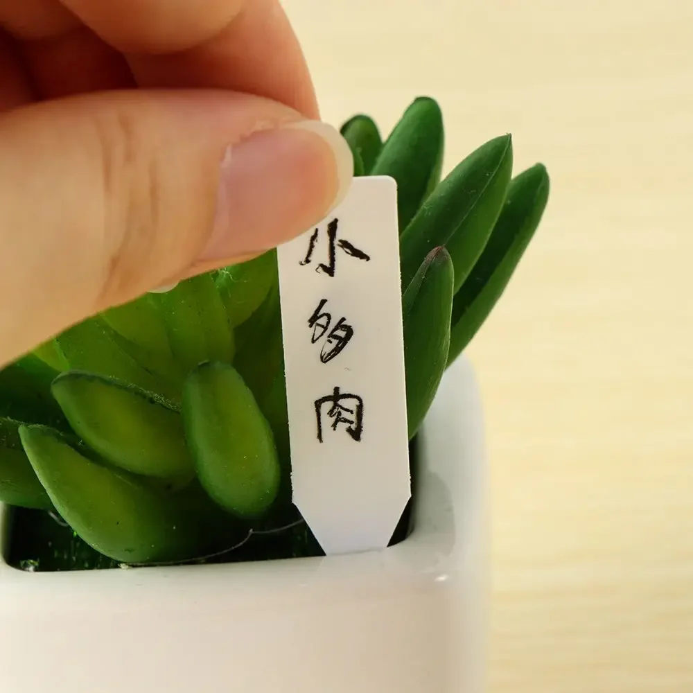 100 pezzi riutilizzabili class - Plant Label Tags recensione e prezzo