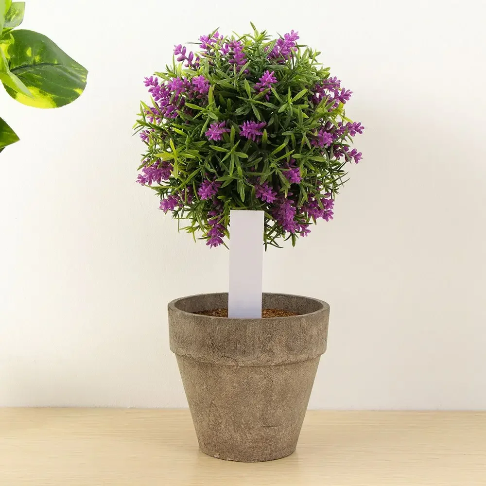 100 pezzi riutilizzabili class - Plant Label Tags recensione e prezzo