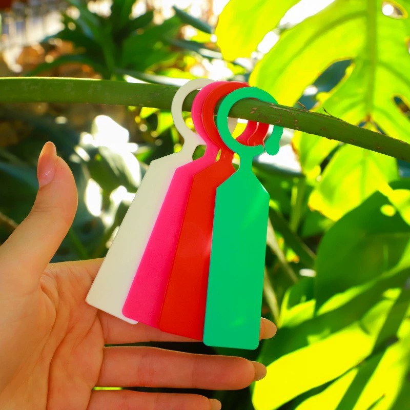 100 Etichette ad Anello in Pla - Plant Label Tags recensione e prezzo