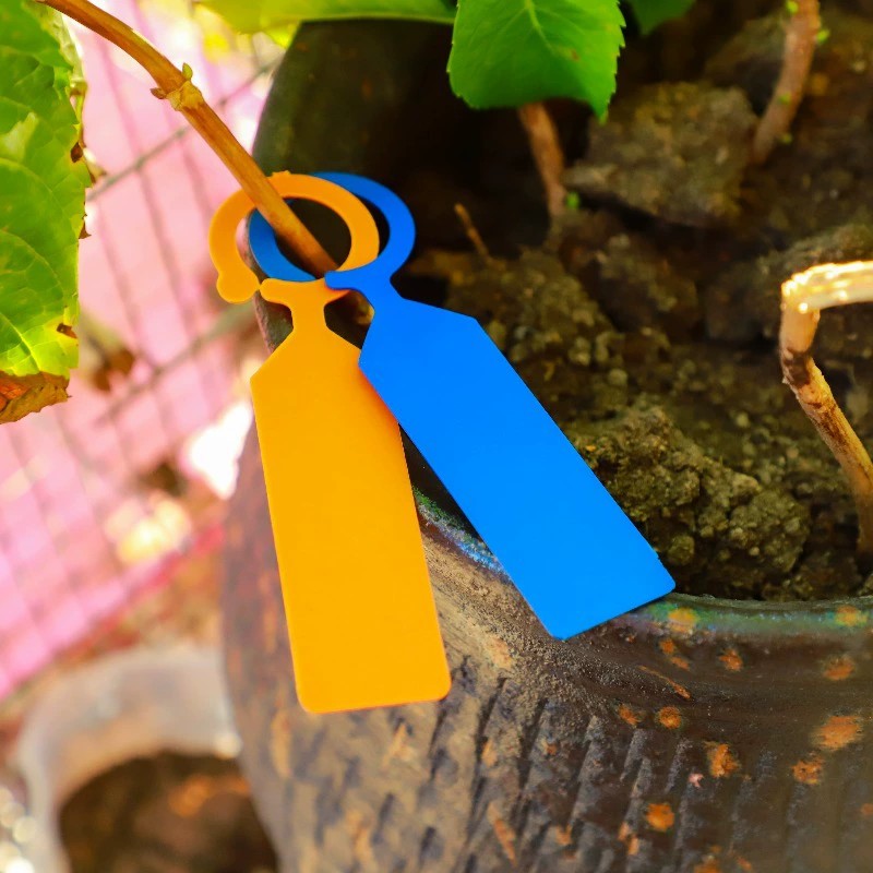 100 Etichette ad Anello in Pla - Plant Label Tags recensione e prezzo