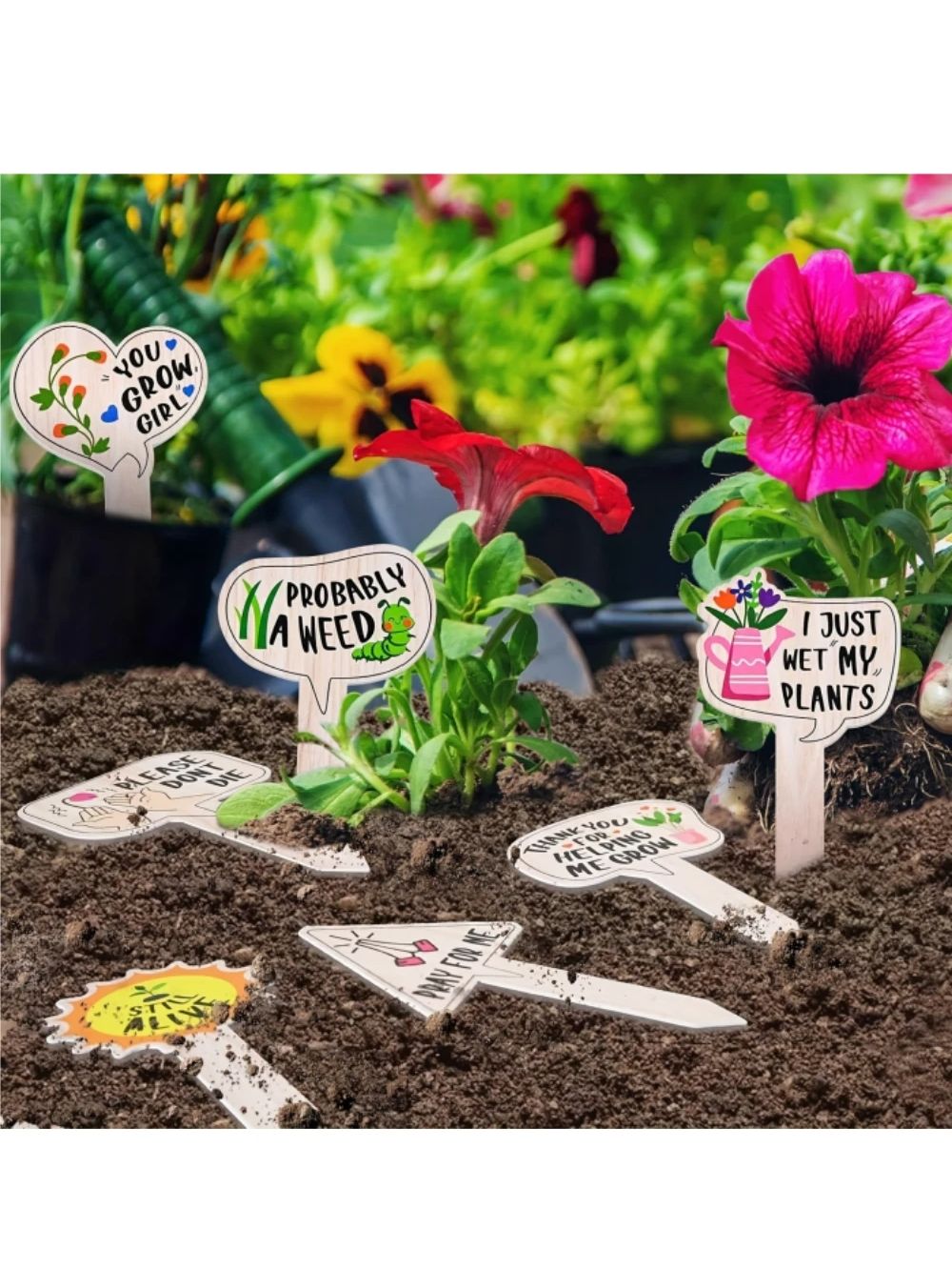 5/10 pezzi etichette per piant - Plant Label Tags recensione e prezzo
