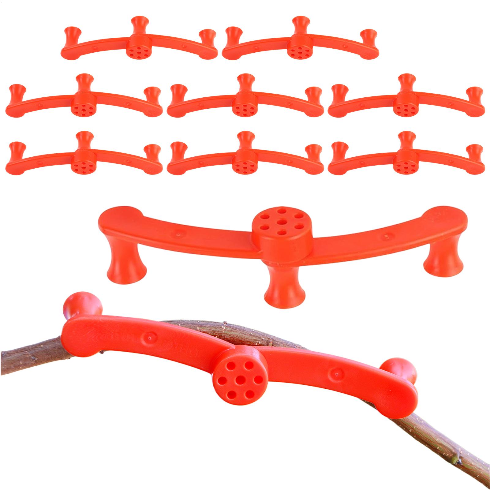 10 Pezzi Clip per Addestrament - Gardening Tools Lowes recensione e prezzo