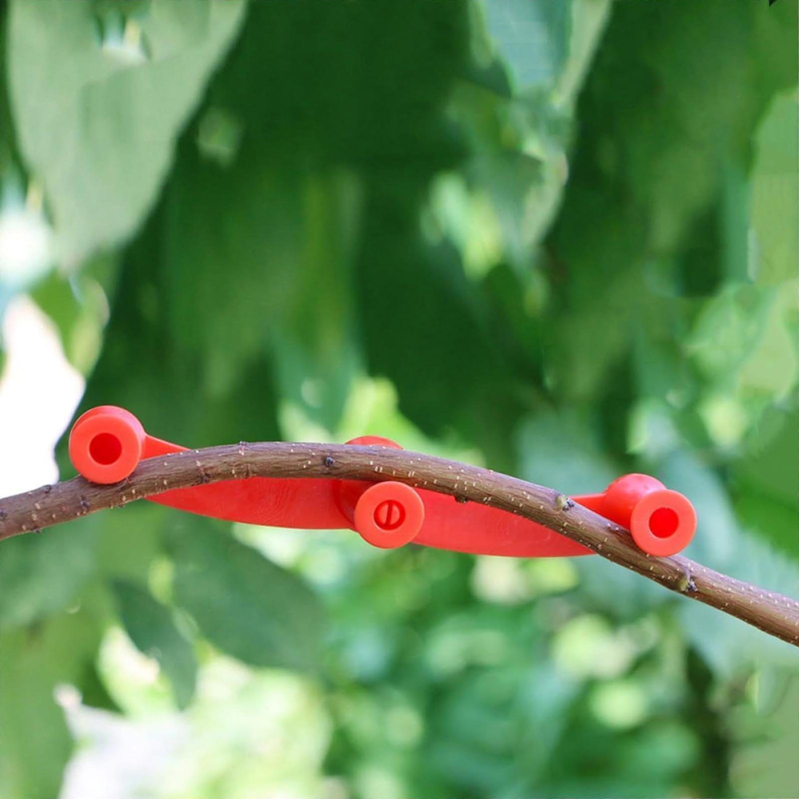 10 Pezzi Clip per Addestrament - Gardening Tools Lowes recensione e prezzo
