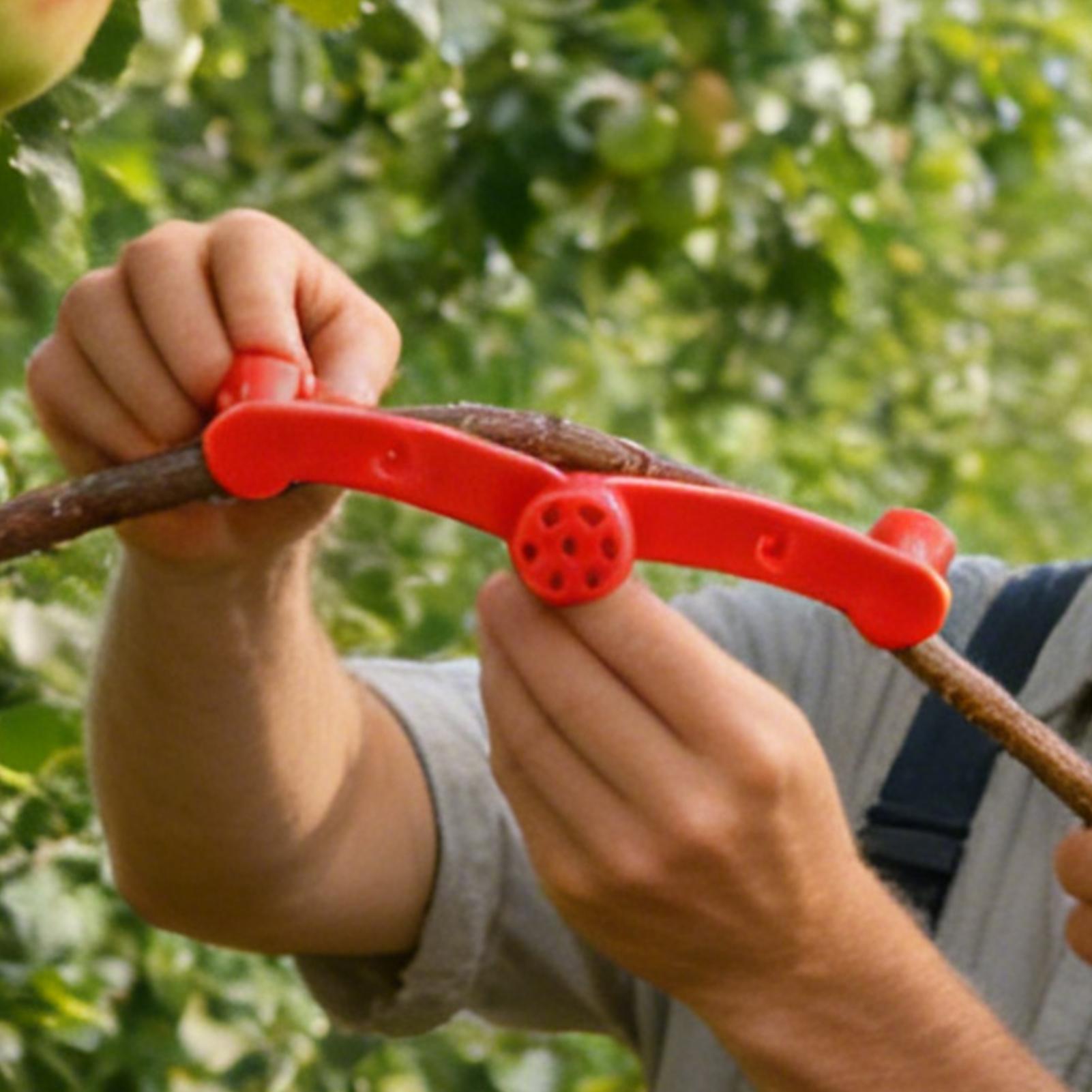 10 Pezzi Clip per Addestrament - Gardening Tools Lowes recensione e prezzo